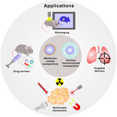 Design principles of bioinspired interfaces for biomedical applications in therapeutics and imaging